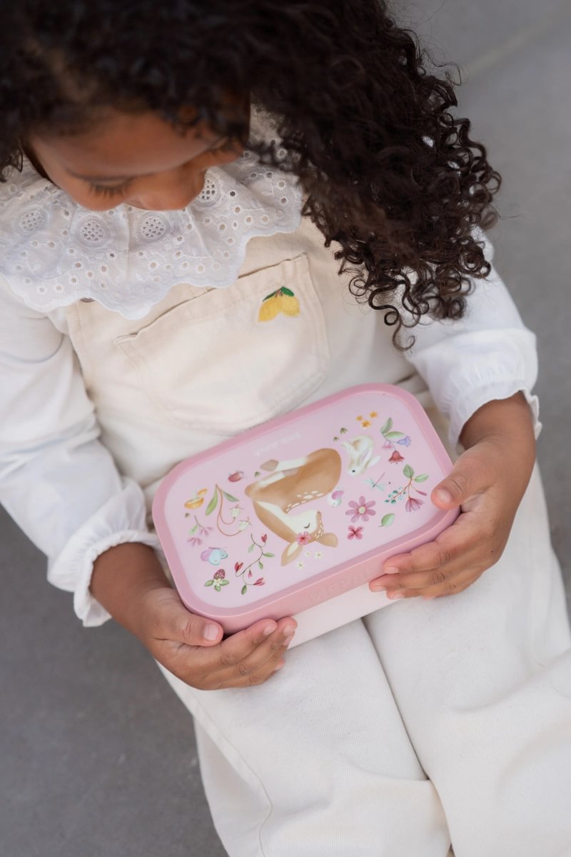 lunch-box-campus-fairy-garden-107440065406-1-Medium