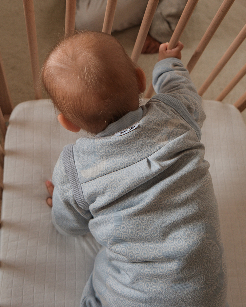 Lodger Hopper Matcha Turtle guļammaiss ar noņemamām piedurknēm, Blue Fogg, 68/80 - Image 2